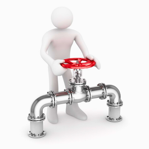 Check Valve
